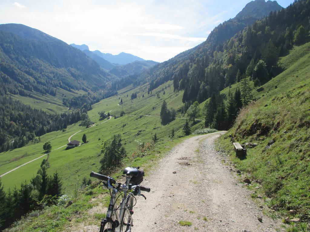 Haus Birgit Lägenhet Walchsee Exteriör bild